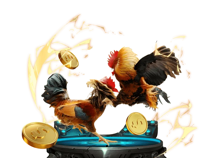 Giải đấu bắn cá hàng tuần